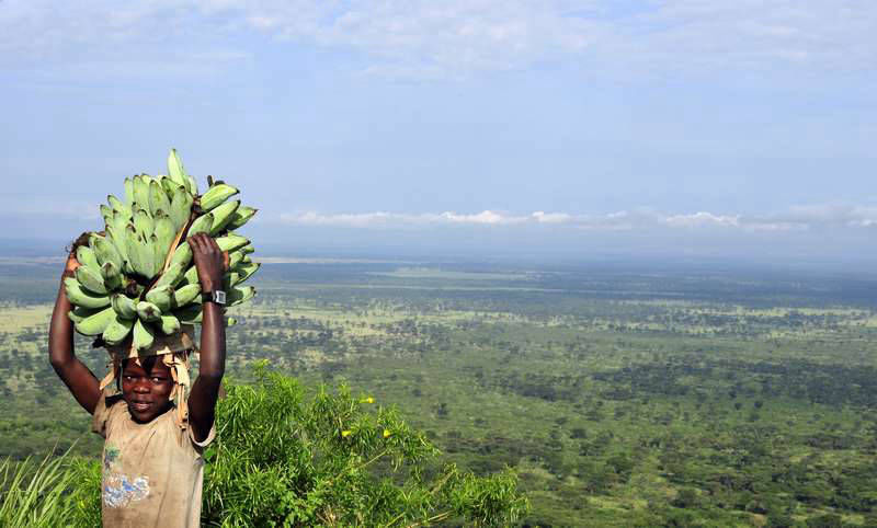 people and scenery